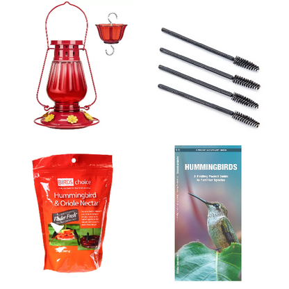 The 'Six-Bar' Ant-Proof Glass Hummingbird Feeder Kit