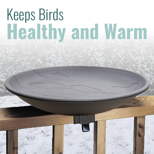 The "Perennial-Heat" Heated Bird Bath | 20-Inch Winter Bird Waterer | Heritage Farms