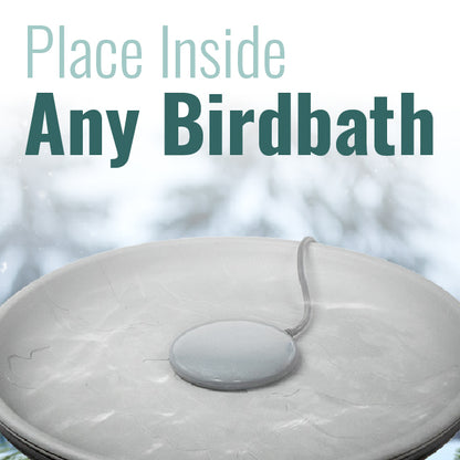 The 'Defrost Disc' Bird Bath De-Icer