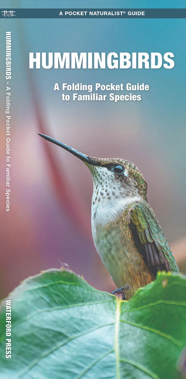 The 'Six-Bar' Ant-Proof Glass Hummingbird Feeder Kit