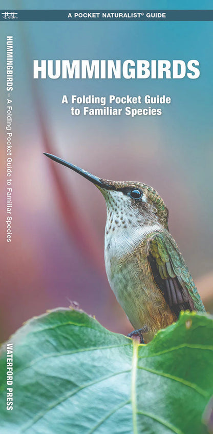 The 'Six-Bar' Ant-Proof Glass Hummingbird Feeder Kit