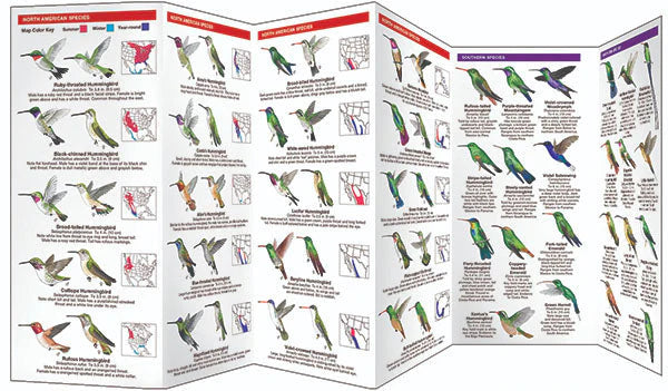 The 'Six-Bar' Ant-Proof Glass Hummingbird Feeder Kit