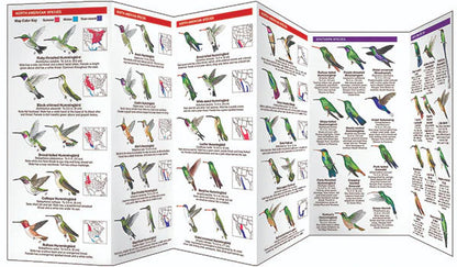 The 'Six-Bar' Ant-Proof Glass Hummingbird Feeder Kit