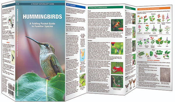 The 'Six-Bar' Ant-Proof Glass Hummingbird Feeder Kit