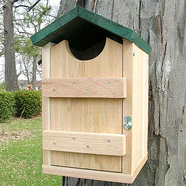 The 'Ladder Loft' Screech Owl & Kestrel House | Looker Products Cedar Owl Nesting Box