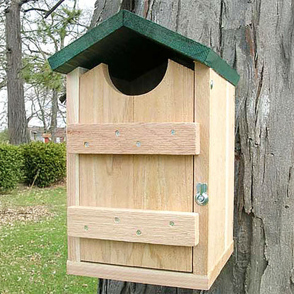 The 'Ladder Loft' Screech Owl & Kestrel House | Looker Products Cedar Owl Nesting Box