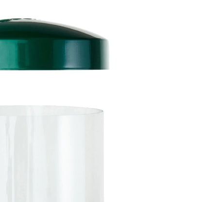 The 'Seed Sentinel' Squirrel-Proof Pole Bird Feeder