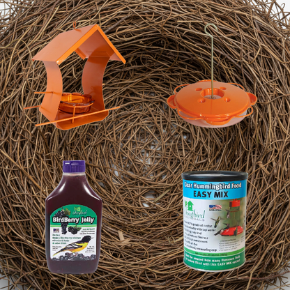 The 'Citrus Snack Bar' Complete Oriole Feeder Kit