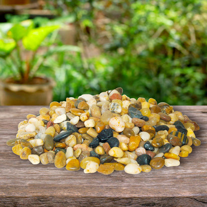 The 'Streamside Polish' River Pebble Accent Pack | Panacea Polished River Pebbles — 2-Pack, 56 oz. Total