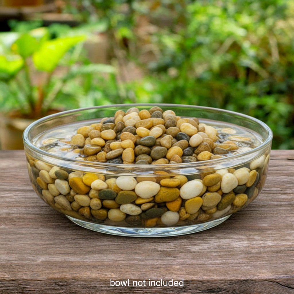 The 'Streamside Polish' River Pebble Accent Pack | Panacea Polished River Pebbles — 2-Pack, 56 oz. Total