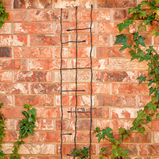 The 'Forged Grove' Twig & Leaf Garden Trellis Collection | Panacea Products 4-Piece Hand-Forged Black Steel Trellis Set