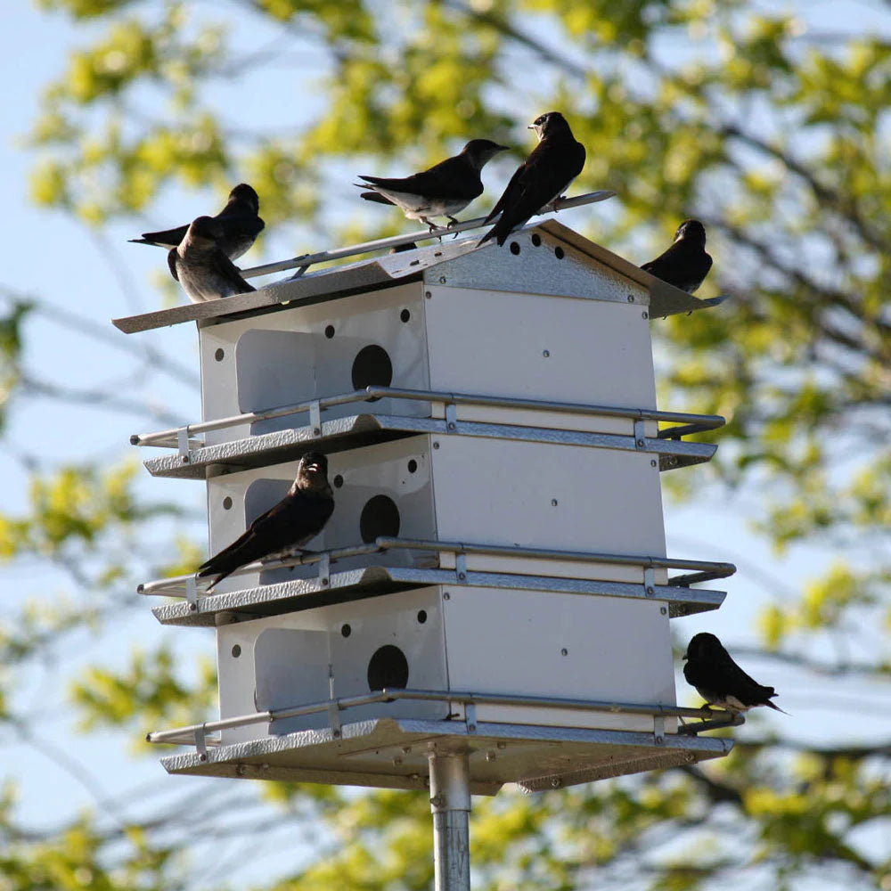 The 'Colony Condo' Purple Martin House | Birds Choice Coates Original 3-Floor 12-Room Aluminum Habitat