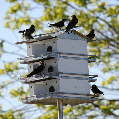 The 'Colony Condo' Purple Martin House | Birds Choice Coates Original 3-Floor 12-Room Aluminum Habitat