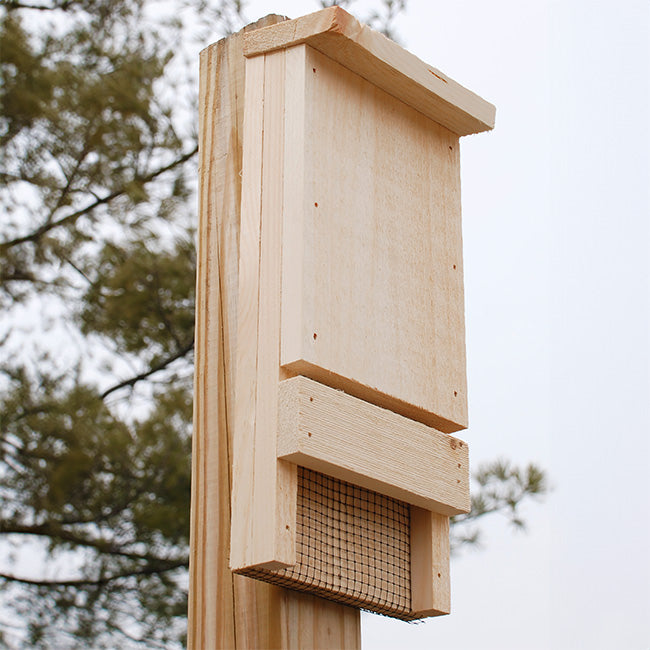 The "Sentinel-12" Bat House Conservation Bundle | Single-Chamber Nocturnal Habitat | Prime Retreat