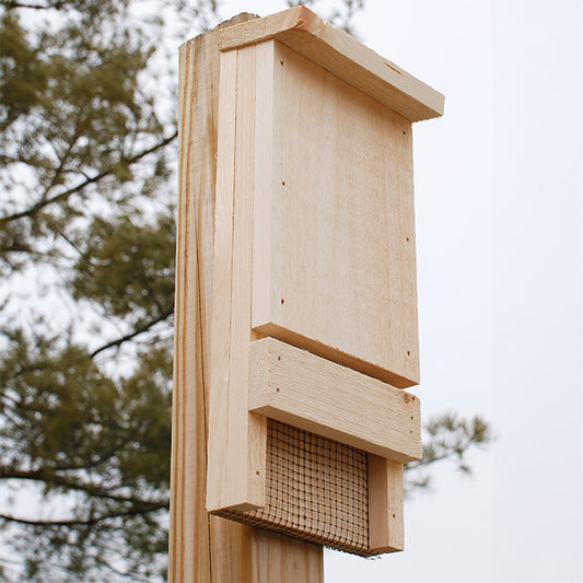 The "Sentinel-12" Bat House Conservation Bundle | Single-Chamber Nocturnal Habitat | Prime Retreat
