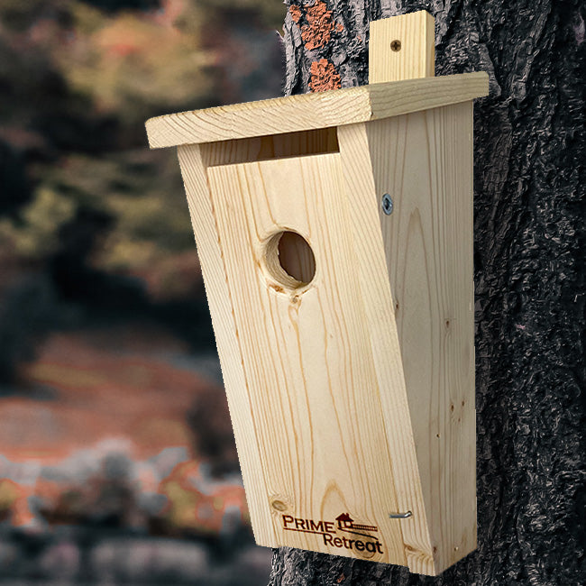 The 'Sleeping Slopes' Bluebird Nesting Box Matched Set