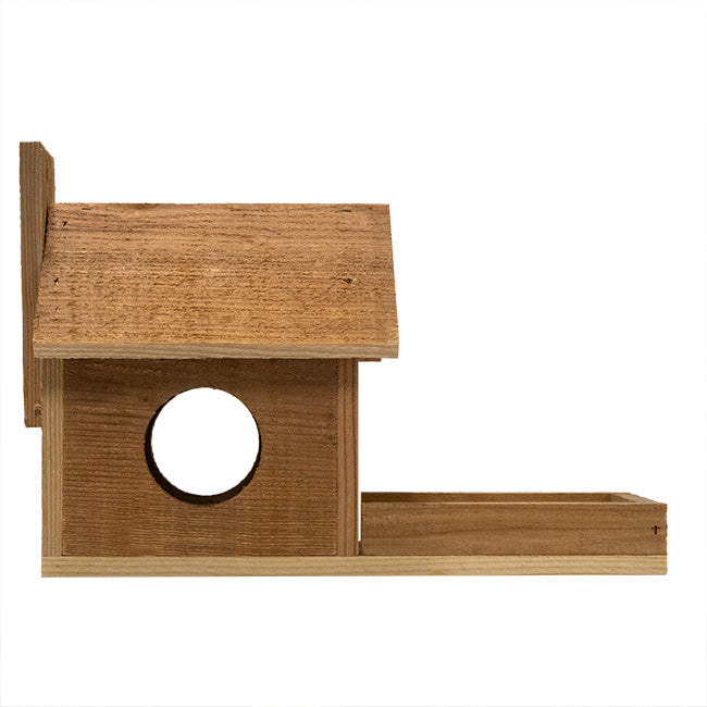The 'Peanut Gallery' Cedar Squirrel Feeder | Prime Retreat Handmade USA Cedar Jar Squirrel Feeder
