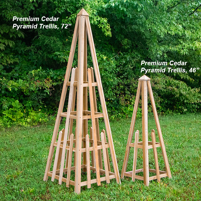 The 'Satellite Staple' Pyramid Trellis | Prime Retreat 46" Handcrafted Cedar Garden Obelisk