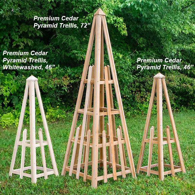 The 'Alabaster Anchor' Pyramid Trellis | Prime Retreat 46" Whitewashed Cedar Garden Obelisk