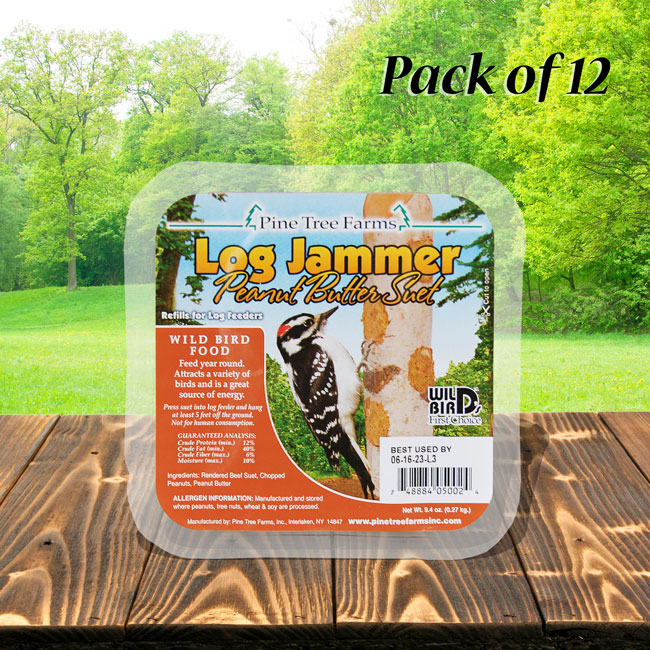 The 'Carpenter's Quarters' Woodpecker Feeding & Nesting Kit