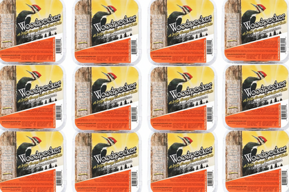 The 'Carpenter's Quarters' Woodpecker Feeding & Nesting Kit