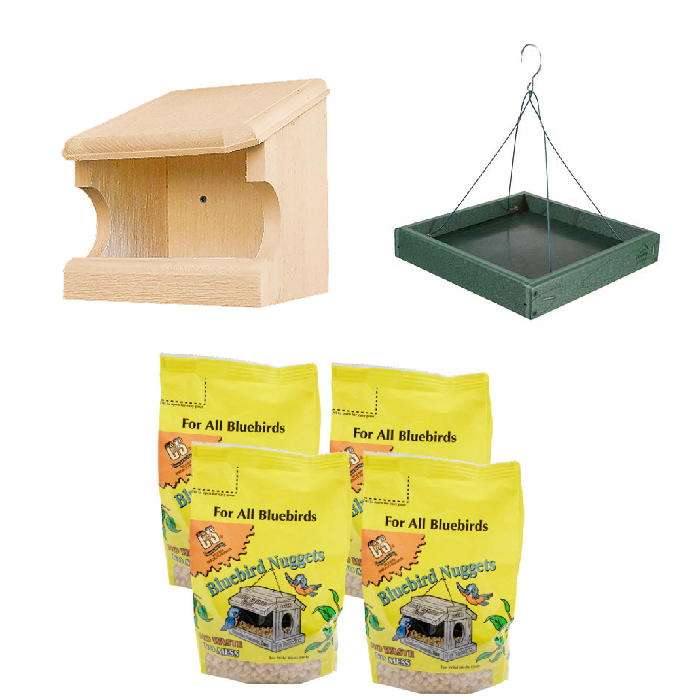 The 'Forager's Bluff' Nest & Feeder Package