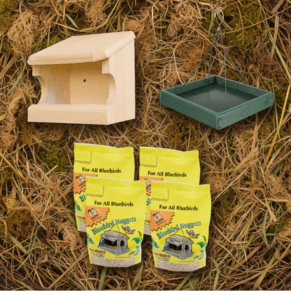 The 'Forager's Bluff' Nest & Feeder Package