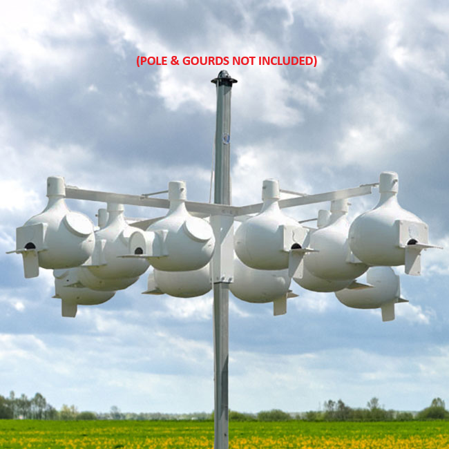 The 'High-Rise' Gourd Rack | S&K Multi-Gourd 12-Position Pulley-Compatible Aluminum Colony Rack