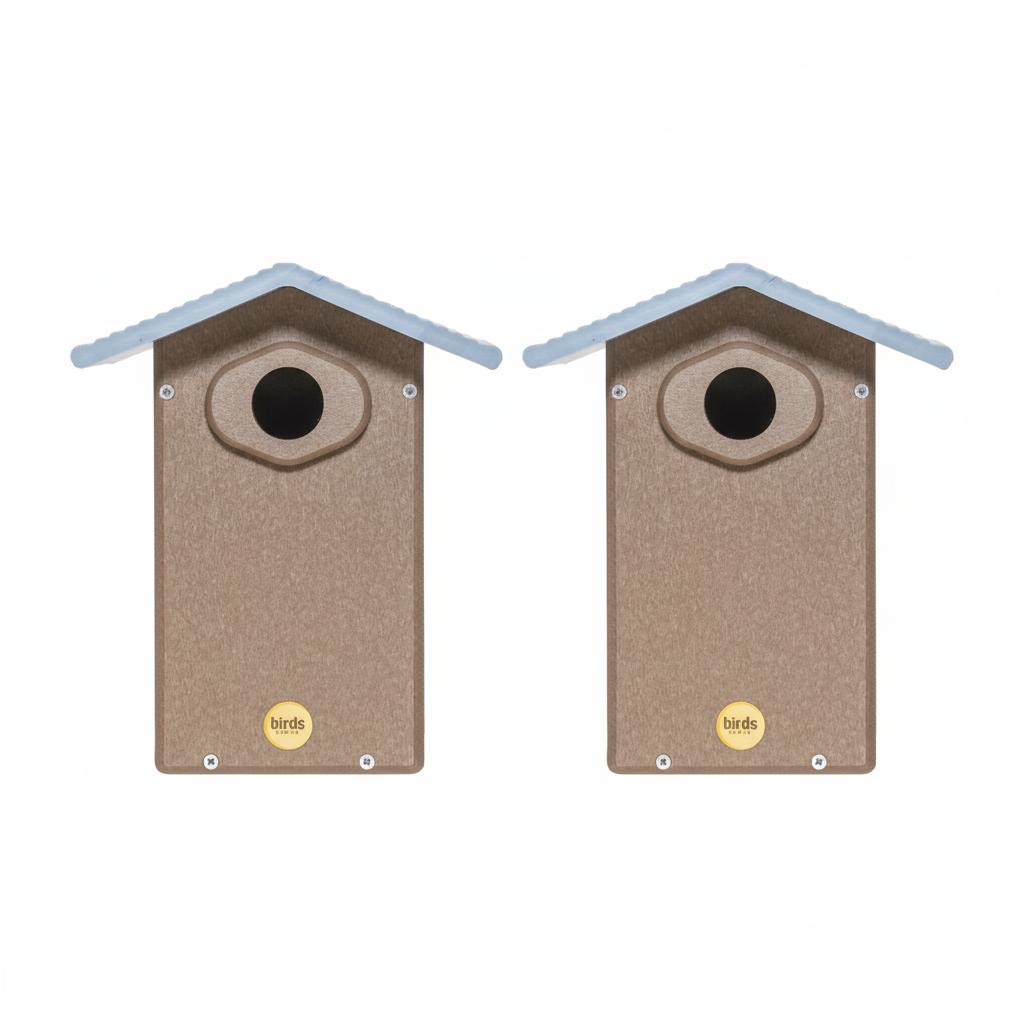 The "Twin-Home" Ultimate Bluebird House | 2-Pack Nesting Box with Predator Guard | Birds Choice