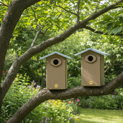 The "Twin-Home" Ultimate Bluebird House | 2-Pack Nesting Box with Predator Guard | Birds Choice