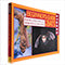 The "Capacity King" 300-Bat House Estate | Large Bat Box & Mosquito Control Bundle | Nature's Way