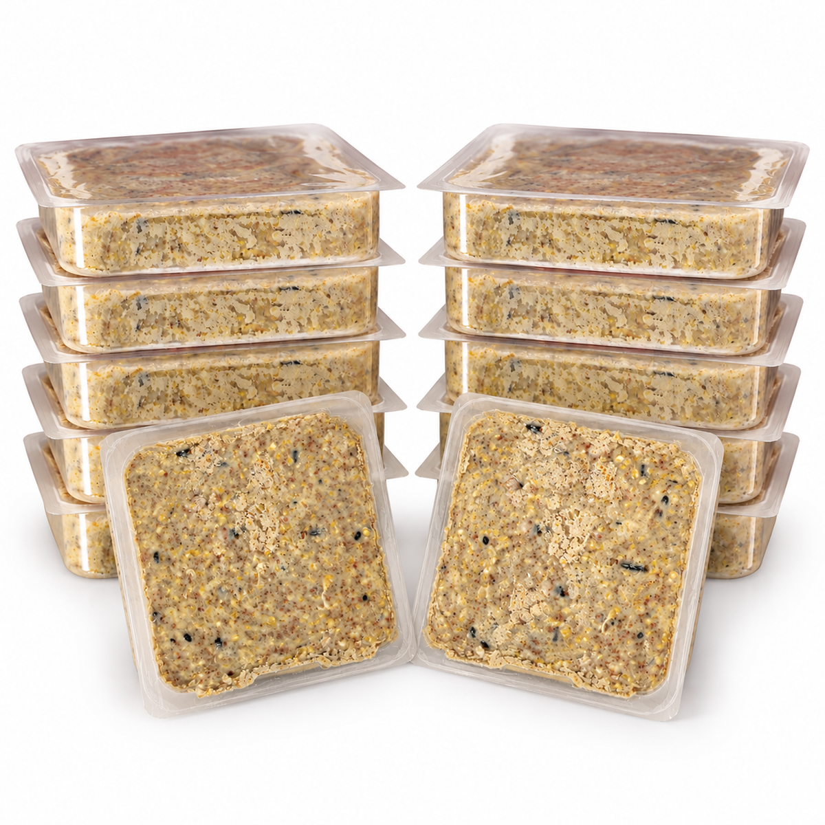The 'No Suet For You!' Squirrel-Proof Suet Feeder Set