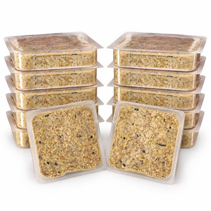 The 'No Suet For You!' Squirrel-Proof Suet Feeder Set