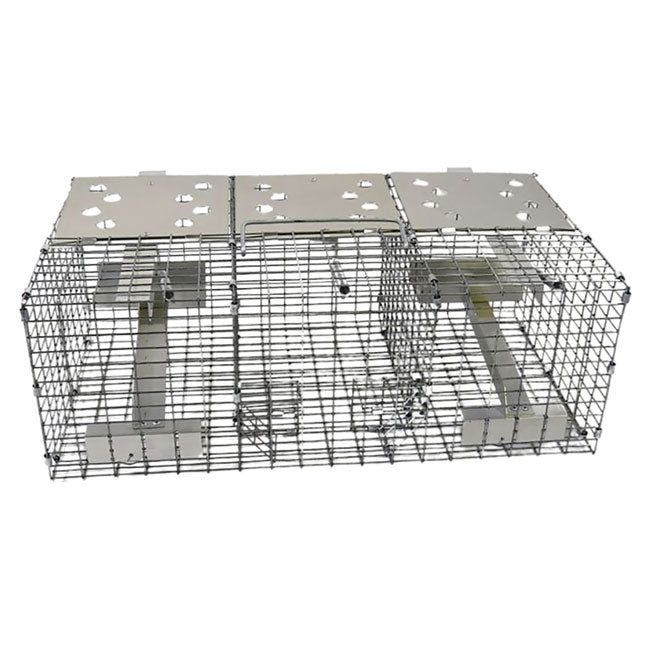 The 'Jailbird' Sparrow Trap | Troyer's Birds' Paradise Triple-Compartment Live Capture Wire Trap