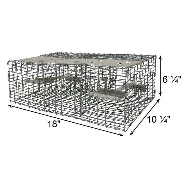 The 'Jailbird' Sparrow Trap | Troyer's Birds' Paradise Triple-Compartment Live Capture Wire Trap