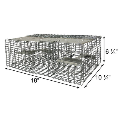 The 'Jailbird' Sparrow Trap | Troyer's Birds' Paradise Triple-Compartment Live Capture Wire Trap