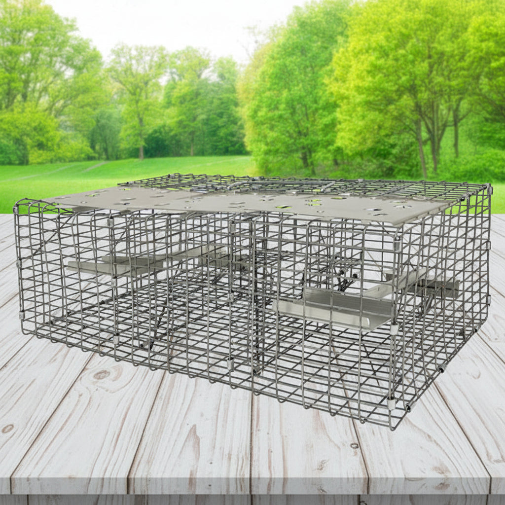 The 'Jailbird' Sparrow Trap | Troyer's Birds' Paradise Triple-Compartment Live Capture Wire Trap
