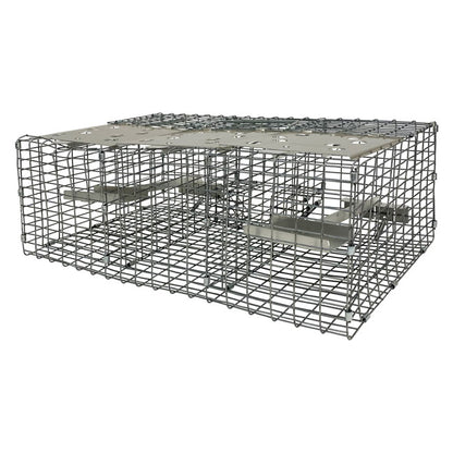 The 'Jailbird' Sparrow Trap | Troyer's Birds' Paradise Triple-Compartment Live Capture Wire Trap
