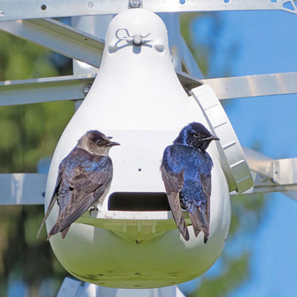 The 'Vault' Purple Martin Vertical Gourd | Troyer's Conley II SREH with Wing Entrapment Guard — Single & 4-Pack