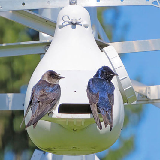 The 'Vault' Purple Martin Vertical Gourd | Troyer's Conley II SREH with Wing Entrapment Guard — Single & 4-Pack