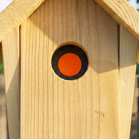 The 'House Arrest' In-House Sparrow Trap | Troyer's Universal Nest Box Sparrow Capture System