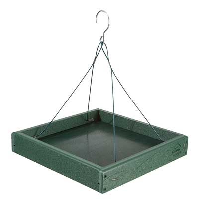 The 'Forager's Bluff' Nest & Feeder Package