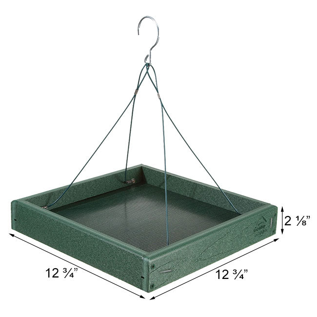 The 'Forager's Bluff' Nest & Feeder Package