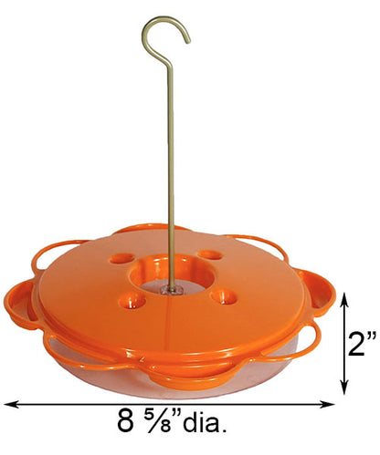 The 'Citrus Snack Bar' Complete Oriole Feeder Kit