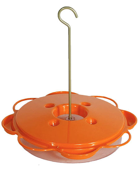 The 'Citrus Snack Bar' Complete Oriole Feeder Kit