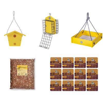 The 'Complete Wrendition' Wren House & Feeder Kit