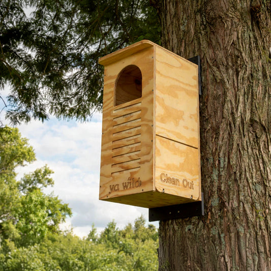 The "Woodland Sentinel" Barred Owl House | Large Owl Nesting Box | JCS Wildlife