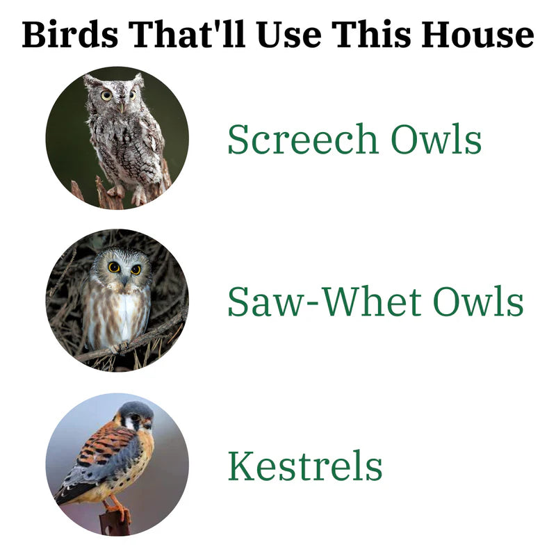 The "Nocturnal Nursery" Owl House | Cedar & Poly Nesting Box | JCS Wildlife