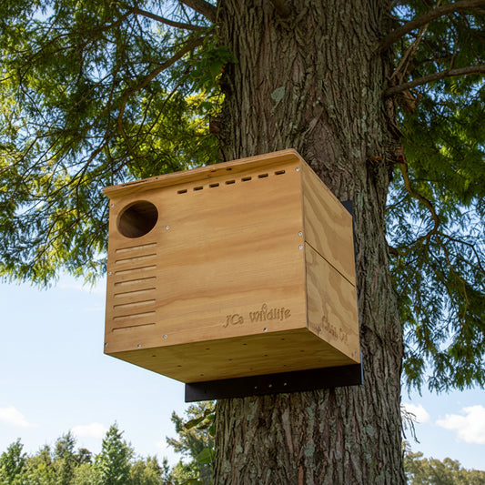 The "Estate Guardian" Barn Owl House | Large Raptor Nesting Box | JCS Wildlife