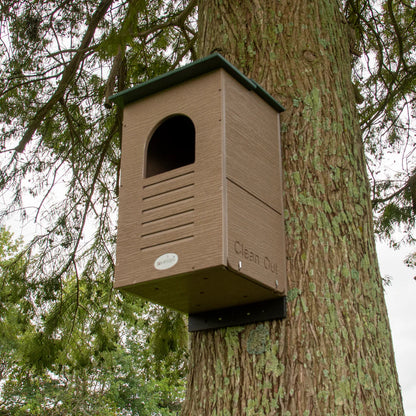 Front of Poly-lumber Barred Owl nesting box shown mounted to a tree.